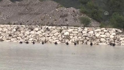 Derede Kaybolan Kader Buse'yi Arama Çalışmaları Yeniden Başladı