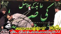 Zakir Waris Raza Haidery Faisal Abbad 17th Muhram 1440(2018) Choti Behak Hafizabad