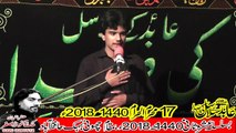 Zakir Syed Wadood Hussain Sial kot 17th Muhram 1440(2018) Choti Behak Hafizabad
