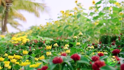 Phi Nhung cùng con nuôi Hồ Văn Cường hào hứng chơi lô tô ngày Tết