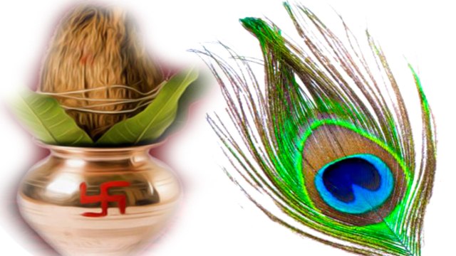 Peacock Feather Benefits: 10 रुपये के इस उपाय से होगा हर तरह के ग्रह दोष का निदान | Boldsky