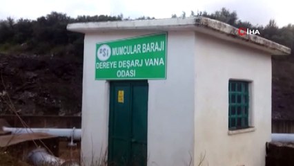 Mumcular Barajı 6 yıl sonra sağanak yağışlarla il kez doldu