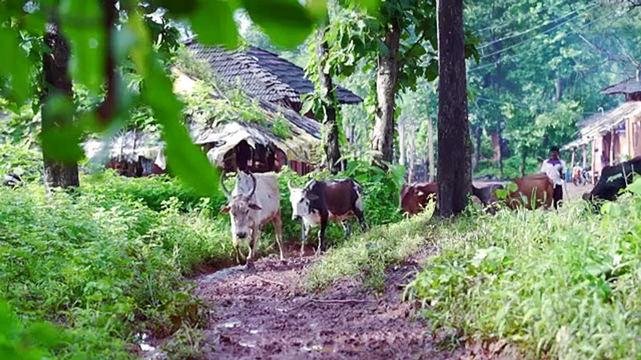 Green Switch – Brightening Futures | Social Initiative by Tata Capital