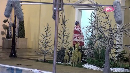 MATORA  PRENELA ANI STA JE PRICALA SA DRVETOM