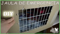 DIY CÓMO HACER UNA JAULA DE EMERGENCIA CON CARTÓN PARA PALOMAS O TÓRTOLAS | HAZLO TÚ MISMO PARA AVES