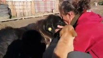Doğuştan Gözleri Olmayan Köpeğe Evladı Gibi Bakıyor