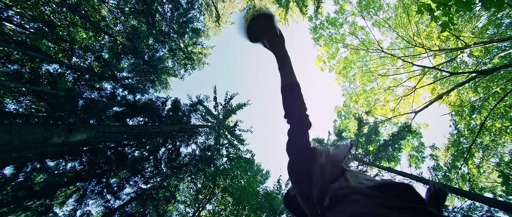 (The Adventurers) Trailer