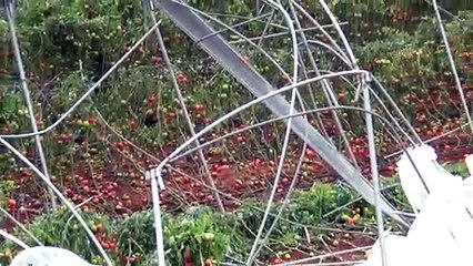 Mersin'deki şiddetli yağış ve fırtına