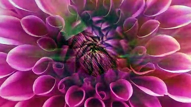 İsbat-Proof-Beweis-Evidencia {MEDRECiTY}