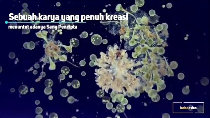 Proof of the existence of ALLAH in 23 languages {MEDRECiTY}