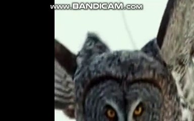 bandicam 2019-01-31 16-42-33-013