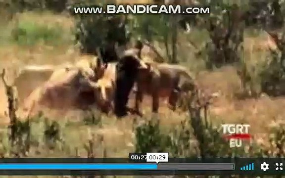 bandicam 2019-01-31 16-42-43-919