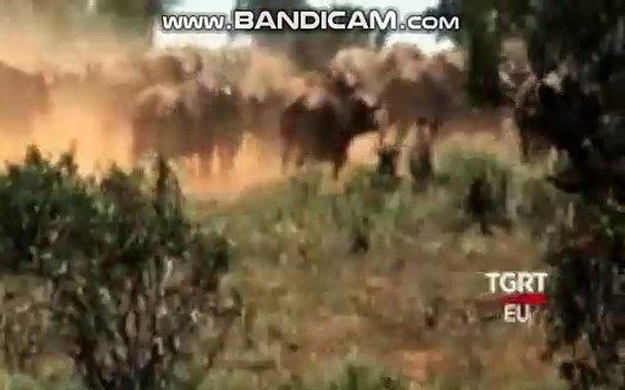 bandicam 2019-01-31 16-43-18-314