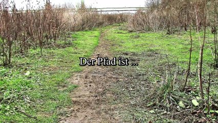 Der Pfad - Directorscut