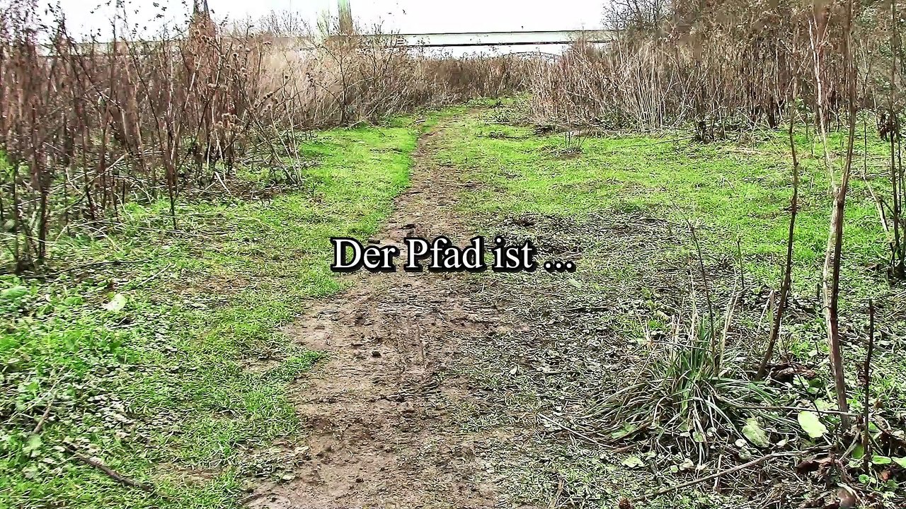 Der Pfad - Directorscut