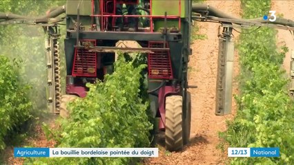 Agriculture bio : la bouillie bordelaise pointée du doigt par l'UE