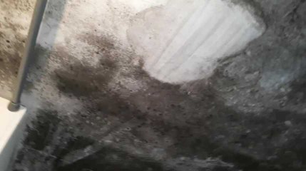 De la moisissure du sol au plafond de la salle de bains à Chimay