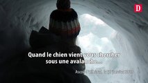 Quand le chien vient vous chercher sous une avalanche