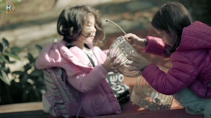 Ahmad Jwad - Anta Galta (Official Audio)   احمد جواد - انت غلطة - فيديو كليب