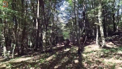 Ahmad Alsayad (Soon)   احمد الصياد - قريباُ