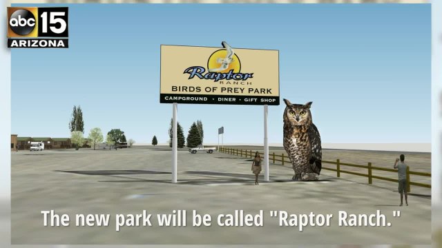 First look at Raptor Ranch, the birds-of-prey attraction planned in Northern Arizona - ABC15 Things To Do