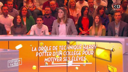 Un collège s'inspire d'Harry Potter pour motiver ses élèves