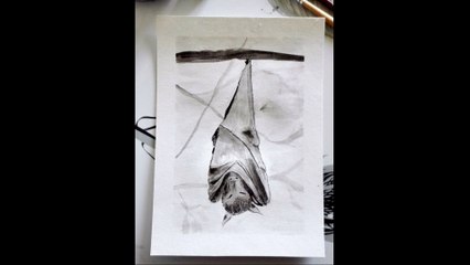 Ink Painting Time Lapse | Speedpaint | Bat | Ink Wash