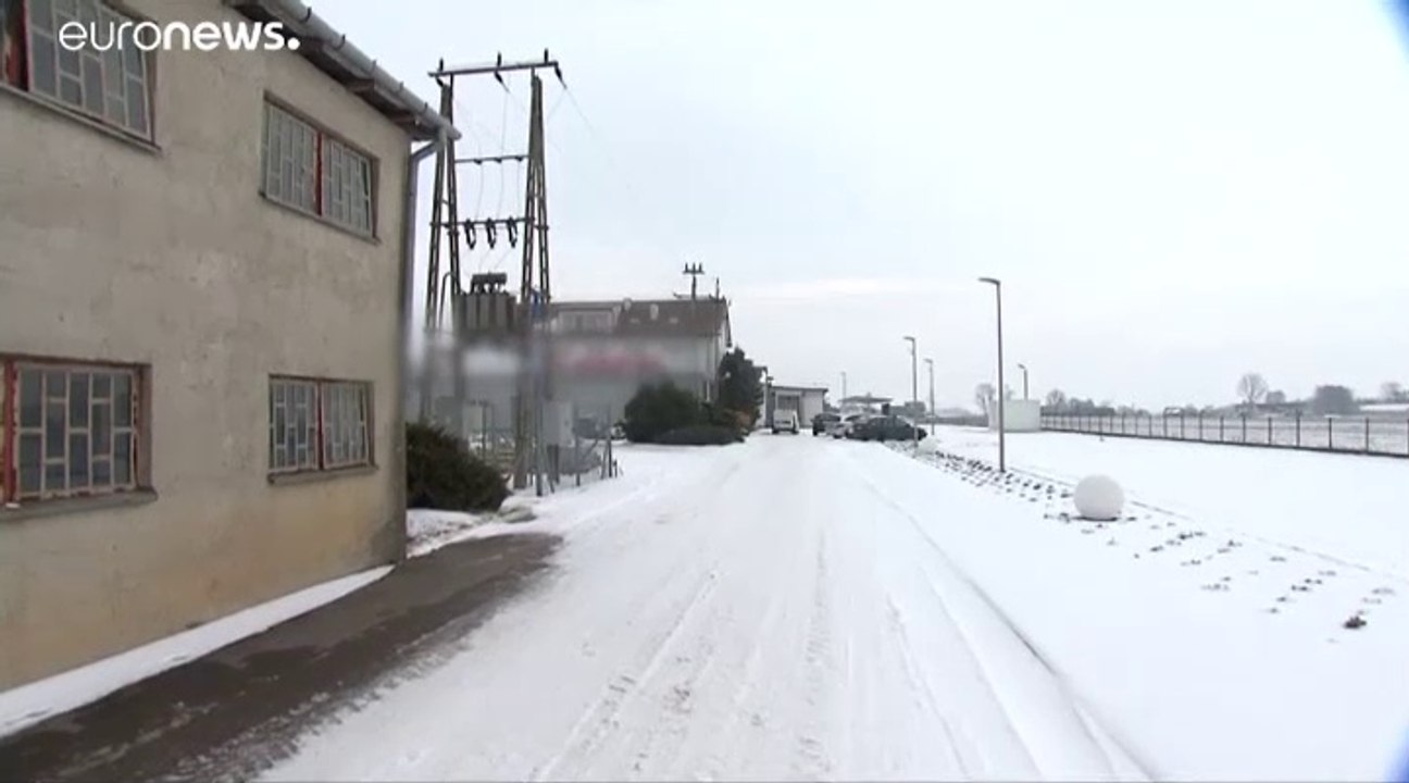 Gammelfleischskandal: gravierende Zustände auf polnischem Schlachthof