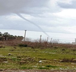 Bu Kez Ayvalık'ta Ortaya Çıktı