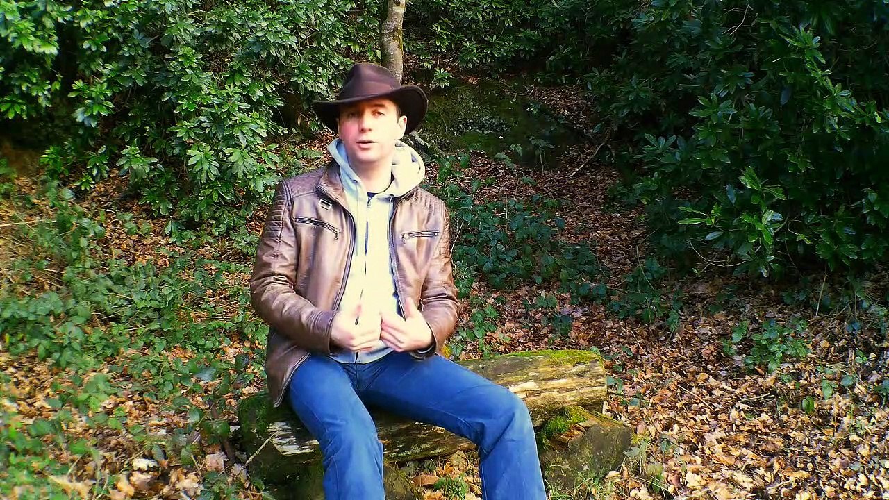 PALEOWORLD 29 - LES ENVIRONNEMENTS DISPARUS