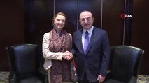 Dışişleri Bakanı Çavuşoğlu Hırvat Mevkidaşı ile Görüştü