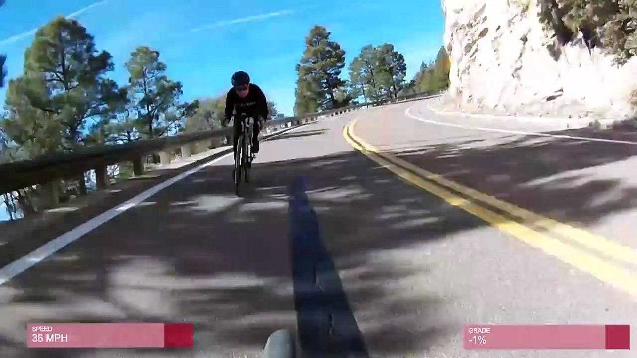 Un cycliste sur route percute un cerf en pleine descente