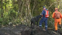 Con perros los rescatistas siguen búsqueda de cuerpos en Brasil