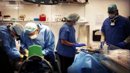 Primer humano congelado criogénicamente recuperado en 10 años