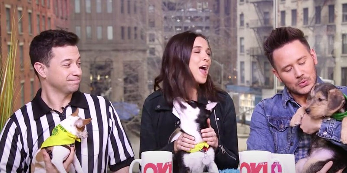 Watch! All You Need To Know About This Sunday’s Woof-Tastic Puppy Bowl