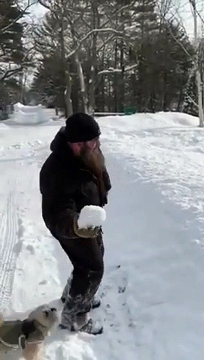 Ces chiens adorent jouer à la balle dans la neige