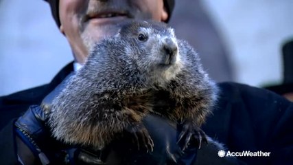 Discover the Fascinating Origins of Groundhog Day 🐾