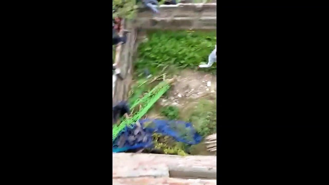 wild video | cheetah attacked residents of Jalandhar in Punjab | terrifying scenes