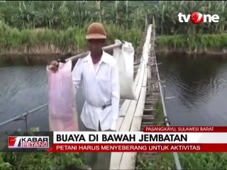 Buaya di Bawah Jembatan Penyeberangan