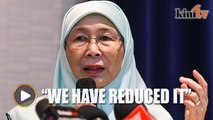 Wan Azizah defends Harapan’s political appointments