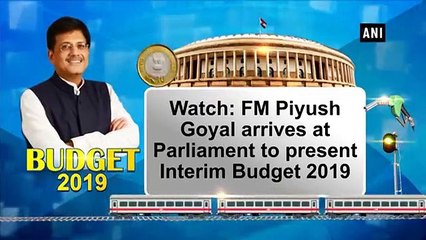 இடைக்கால பட்ஜெட் 2019: லோக்சபாவில் தாக்கல் செய்தார் பியூஷ் கோயல்-வீடியோ