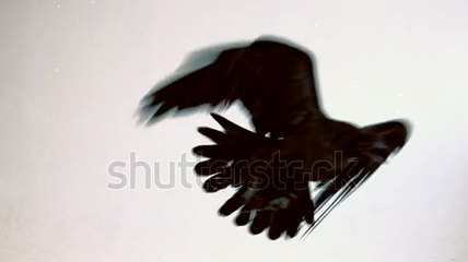 프라임카지노 바로가기 ▶  yong79。com 맥스카지노 ゃね2007년