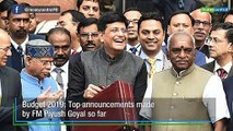 Budget 2019 | Top announcements made by FM Piyush Goyal