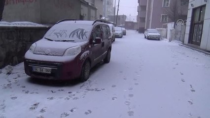 Ağrı'da Kar Yağışı