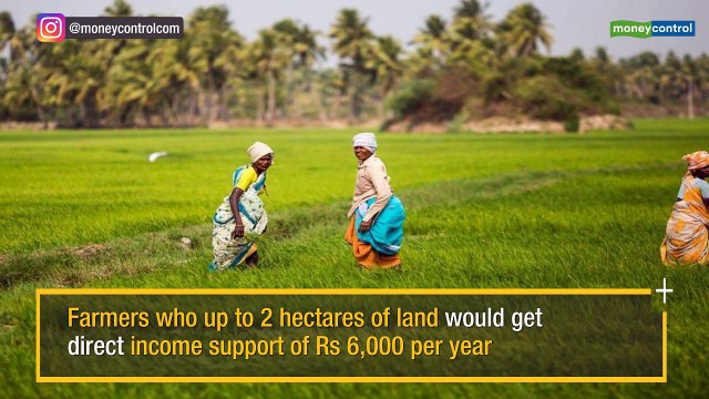 Budget 2019 | FM announces annual income support scheme of Rs 6,000 for farmer