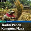 Tradisi Panen Kampung Naga