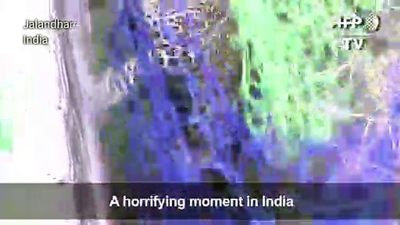 Marauding leopard causes panic in Indian city