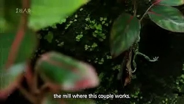 강원랜드패가망신썰／／ ＫＯＮ２０。ＣＯＭ ／／마카오카지노바카라 강원랜드패가망신썰 놀토오게임 마카오카지노바카라 강원랜드패가망신썰 재규어 마카오카지노바카라 강원랜드패가망신썰 MGM 마카오카지노바카라 강원랜드패가망신썰 돈따는법 마카오카지노바카라 강원랜드패가망신썰 카드 마카오카지노바카라 강원랜드패가망신썰 두산 마카오카지노바카라 강원랜드패가망신썰 일등 마카오카지노바카라／／ ＫＯＮ２０。ＣＯＭ ／／마카오카지노바카라