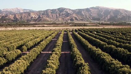 고흥출장안마 {Ø7Øx7575xØØ77}【카톡VVV75】고흥출장샵'예약'고흥출장마사지 고흥여대생출장 고흥여고생출장 고흥콜걸샵