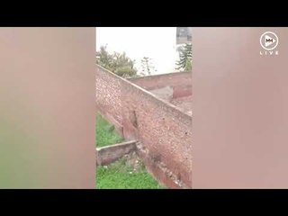 Leopardi në arrati, terrorizon qytetin indian - Top Channel Albania - News - Lajme